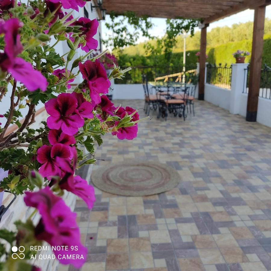 La Casa De La Abuela Guest House Setenil De Las Bodegas Ngoại thất bức ảnh