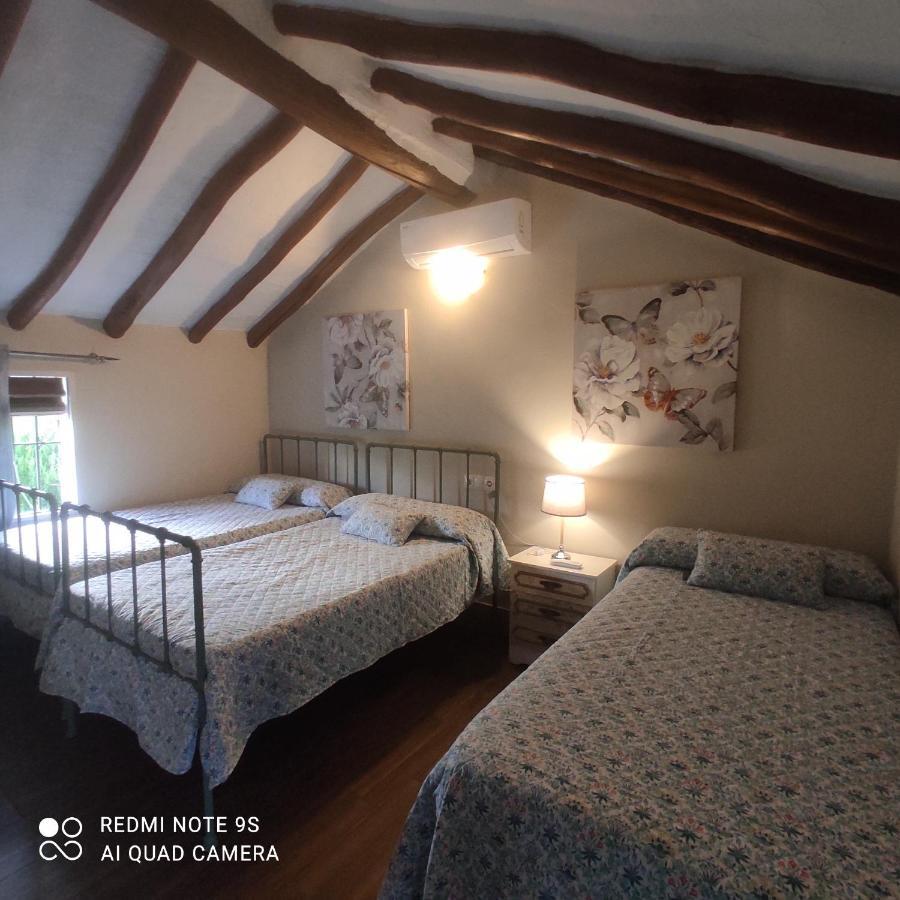 La Casa De La Abuela Guest House Setenil De Las Bodegas Ngoại thất bức ảnh